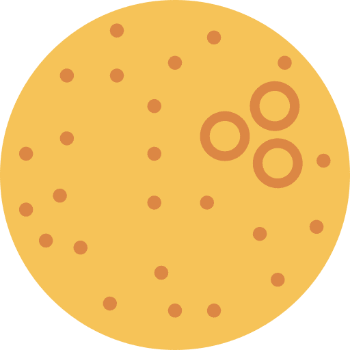 Orange organic food and restaurant fruit icon