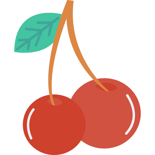 Cherry cherries food vegan icon