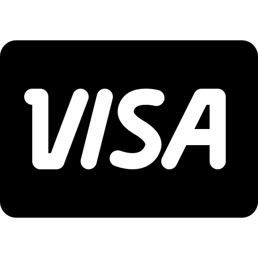 Visa debit card payment method visa icon