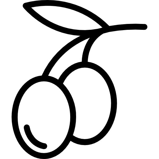 Olive olive vegetable food and restaurant icon