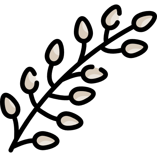 Willow willow leaves plant icon