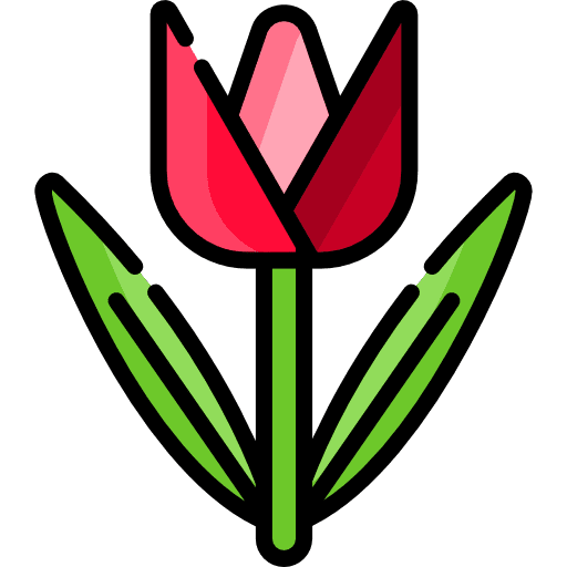 Tulip tulip flower botanical icon