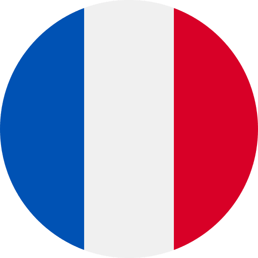 France country flag flag variant icon