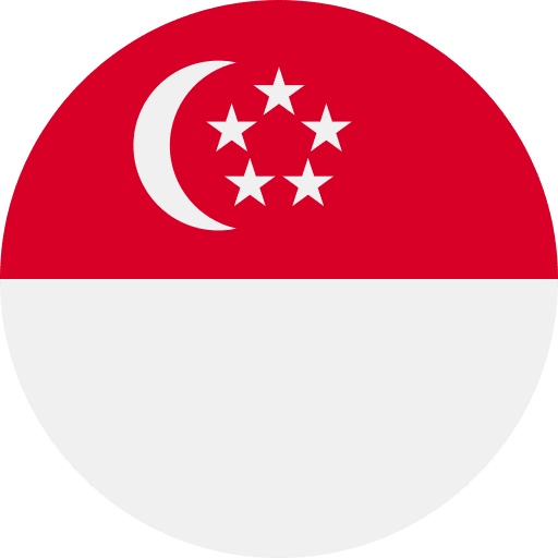 Singapore flag flags singapore icon