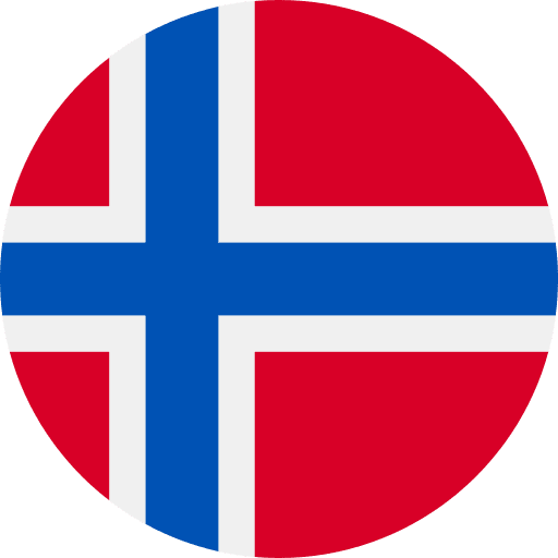 Norway world flag country icon