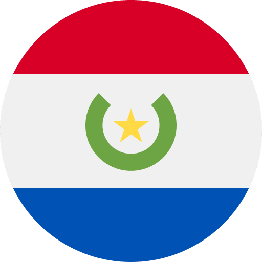 Paraguay world paraguay flags icon