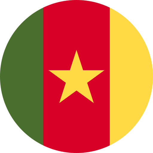 Cameroon flag nation flags icon