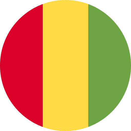 Guinea country guinea flags icon