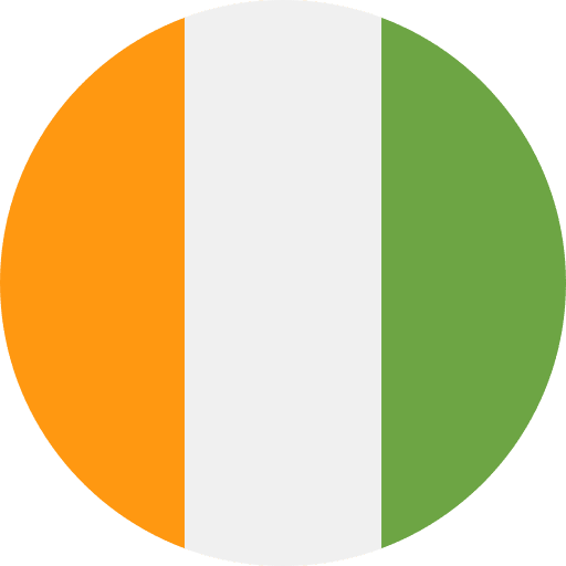 Ivory coast flags nation flag icon