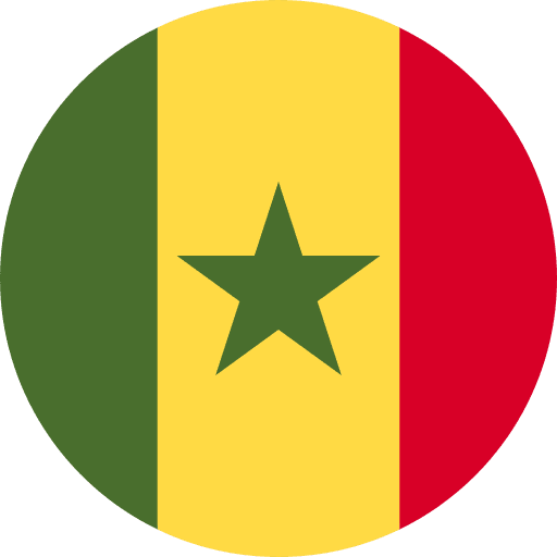 Senegal flags world senegal icon
