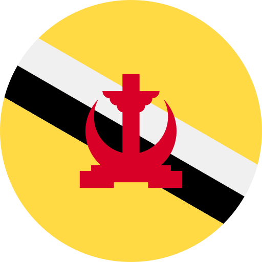 Brunei flag nation world icon