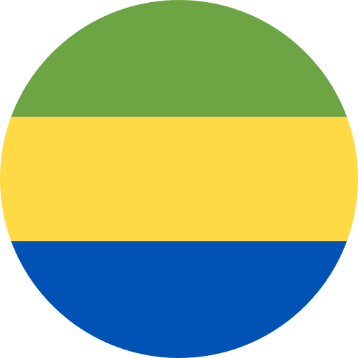 Gabon world nation country icon