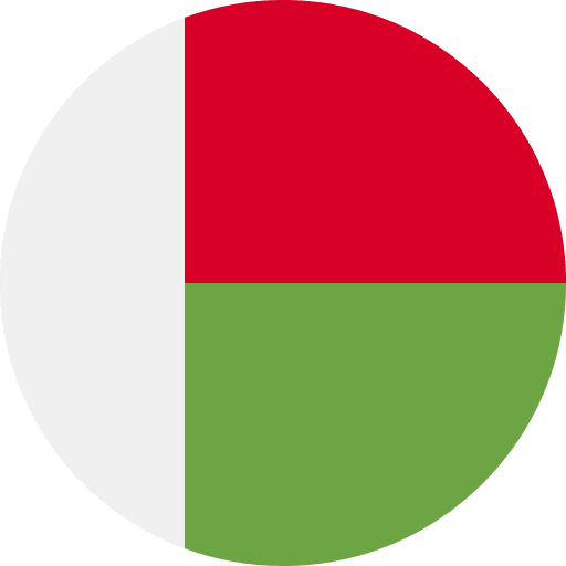 Madagascar flags country world icon