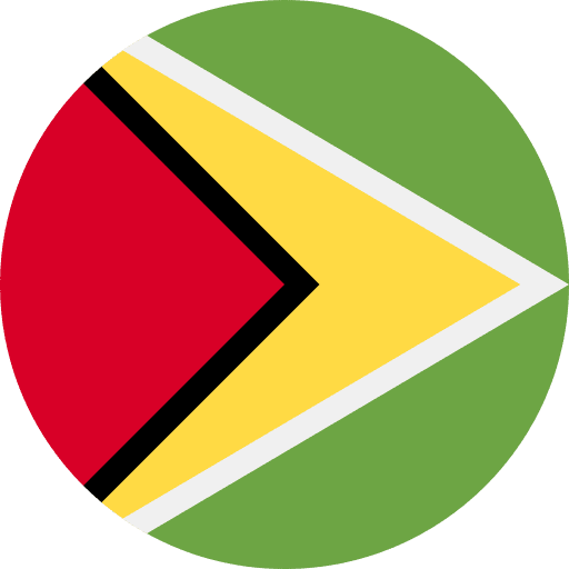 Guyana guyana flags country icon