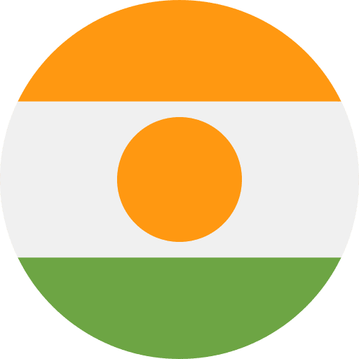 Niger country niger world icon