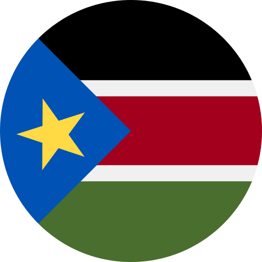 South sudan flag country south sudan icon