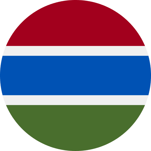Gambia flag flags gambia icon