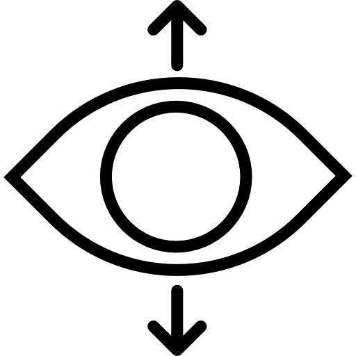 Perspective perspective vision interface icon