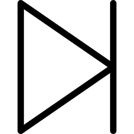 Next next skip arrows icon