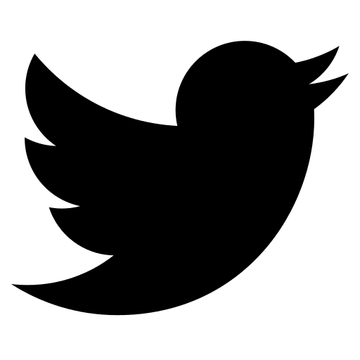 Twitter network official twitter logo icon