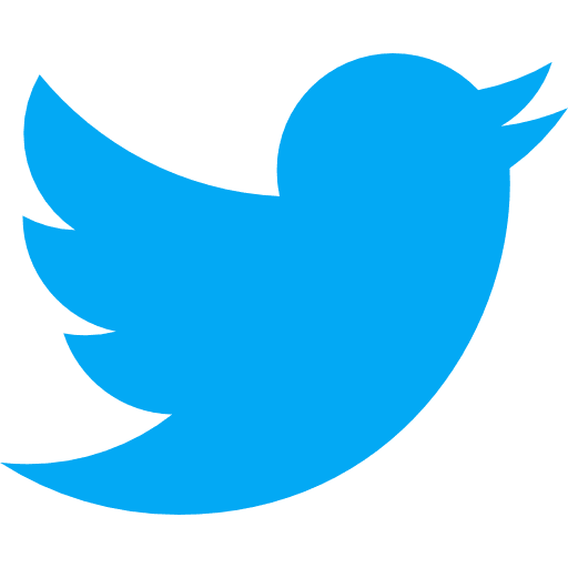 Twitter brand twitter logotype icon