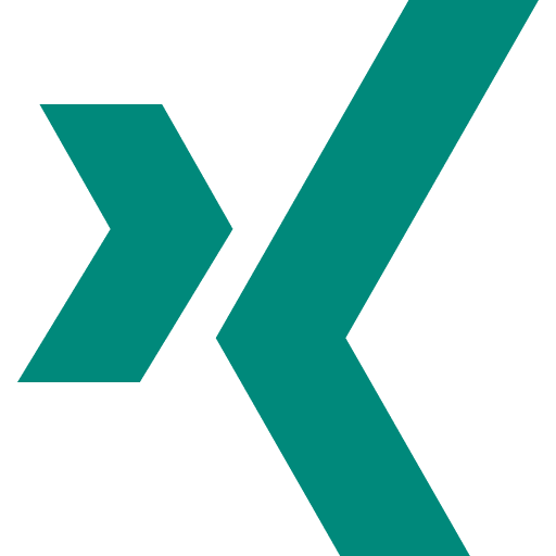 Xing social network social media xing icon