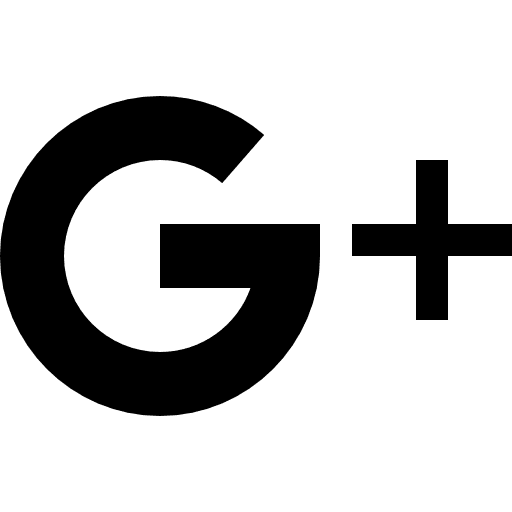 Google plus social media instagram email signature logotype icon