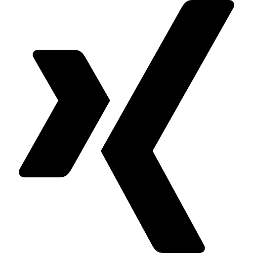 Xing logotype social network logo networking icon