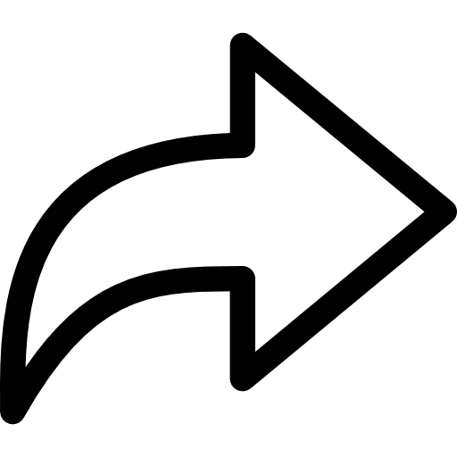 Next direction arrow multimedia option icon