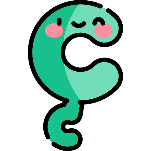 C learn c abecedary icon C learn c abecedary icon