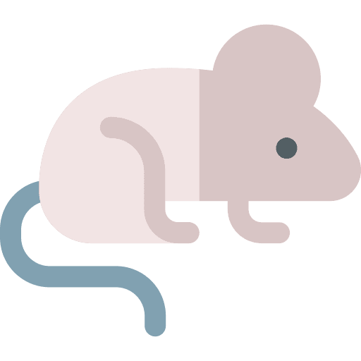 Mouse animal kingdom animals fauna icon