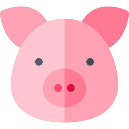 Pig zoo pig mammal icon