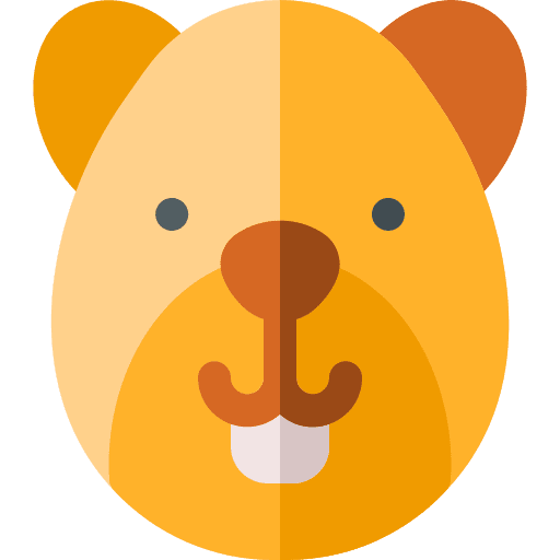 Beaver zoology beaver fauna icon Beaver zoology beaver fauna icon