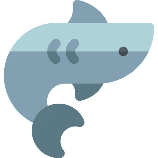 Shark animal kingdom zoo shark icon Shark animal kingdom zoo shark icon