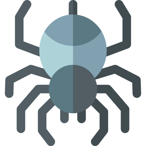 Spider animal kingdom insect fauna icon Spider animal kingdom insect fauna icon