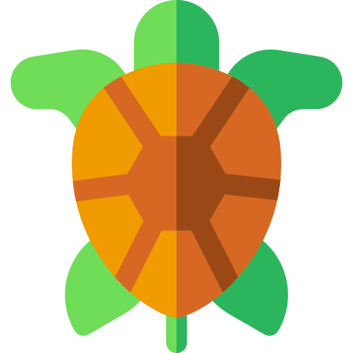Turtle animal kingdom fauna zoology icon Turtle animal kingdom fauna zoology icon