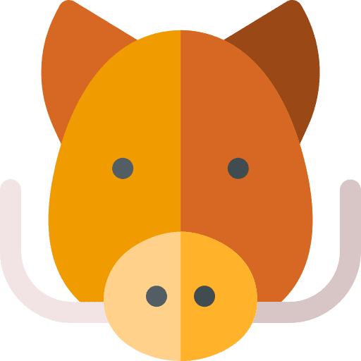 Boar zoo wildlife zoology icon Boar zoo wildlife zoology icon