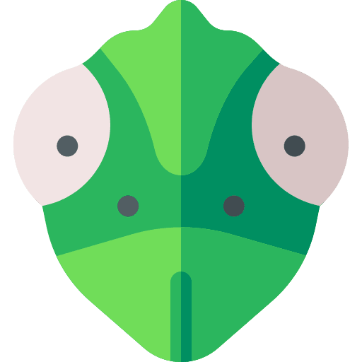 Chameleon animals zoology chameleon icon Chameleon animals zoology chameleon icon