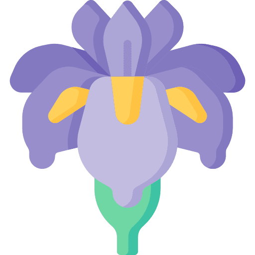 Iris flowers botanical blossom icon