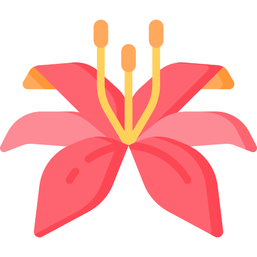 Lily flowers petals lily icon