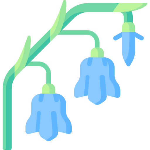 Bluebell botanical petals blossom icon Bluebell botanical petals blossom icon
