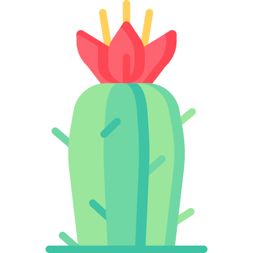 Cactus plant desert nature icon