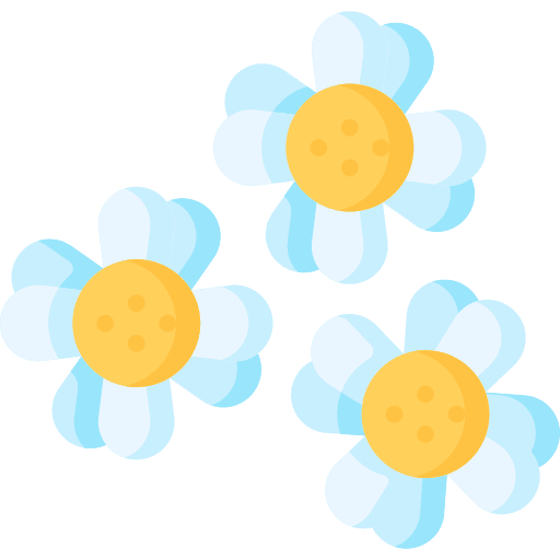 Chamomile botanical plant petals icon Chamomile botanical plant petals icon