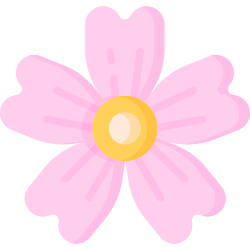 Cherry blossom cherry blossom petals nature icon Cherry blossom cherry blossom petals nature icon