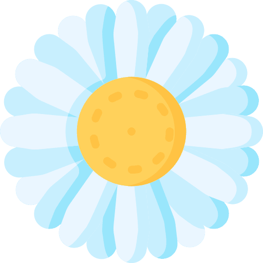 Daisy flowers plant nature icon Daisy flowers plant nature icon