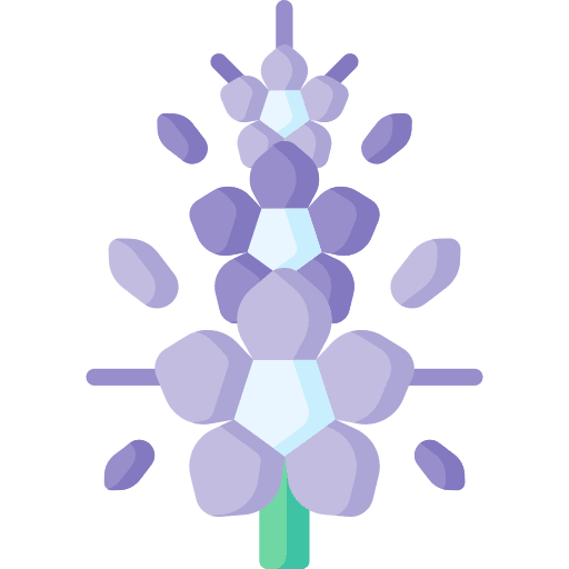 Delphinium nature petals blossom icon Delphinium nature petals blossom icon