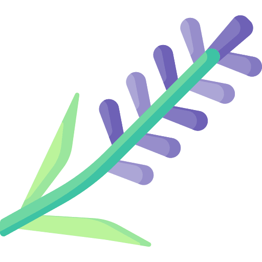 Lavender blossom lavender botanical icon