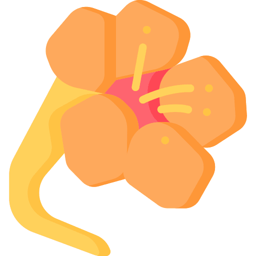 Nasturtium petals plant botanical icon Nasturtium petals plant botanical icon