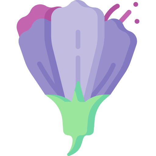 Pea pea blossom nature icon Pea pea blossom nature icon
