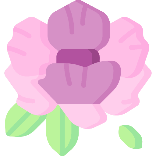 Peony peony petals blossom icon Peony peony petals blossom icon